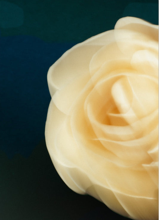 7c1a4c26-5c22-4f5b-ab00-b409bc0674b6